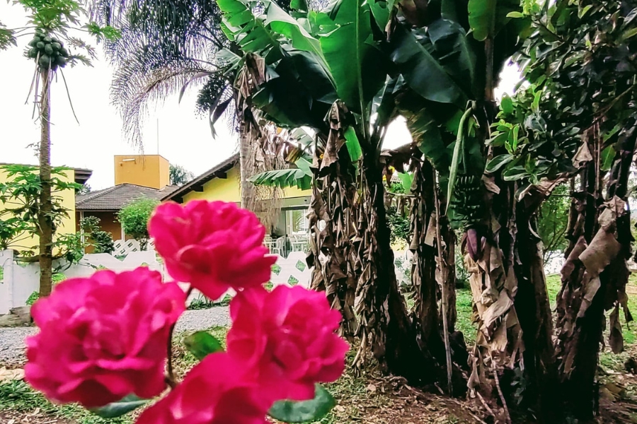 unidade (14)