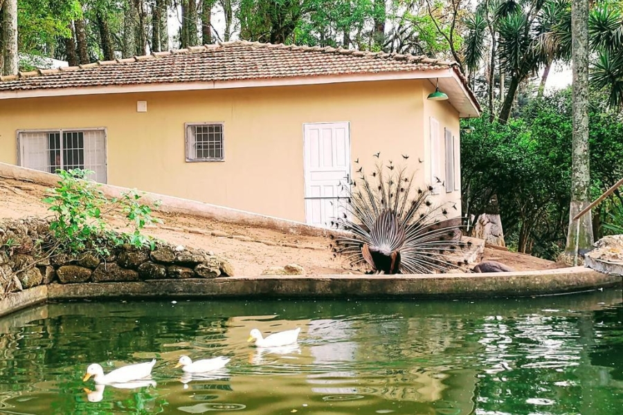 unidade (8)